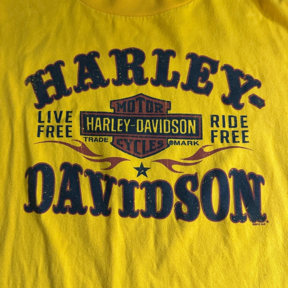 Harley-Davidson T-Shirt Mens 2XL Yellow Stone Mountain Georgia Biker